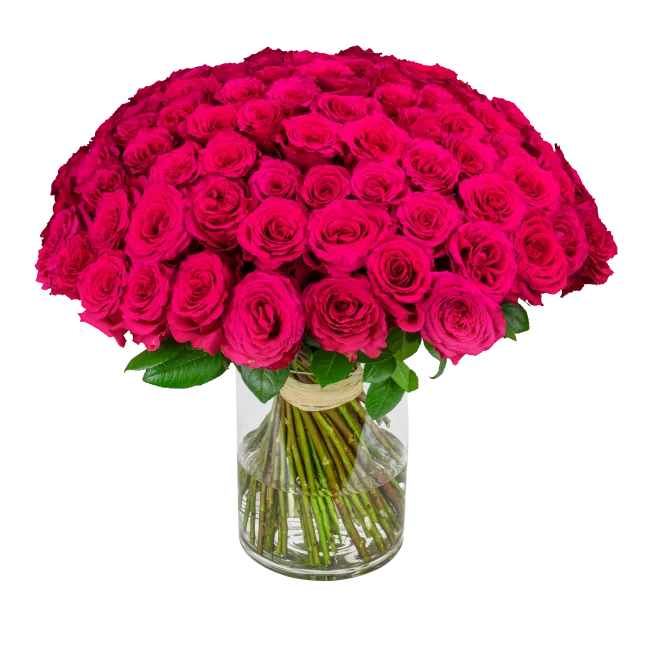 Bouquet of pink roses